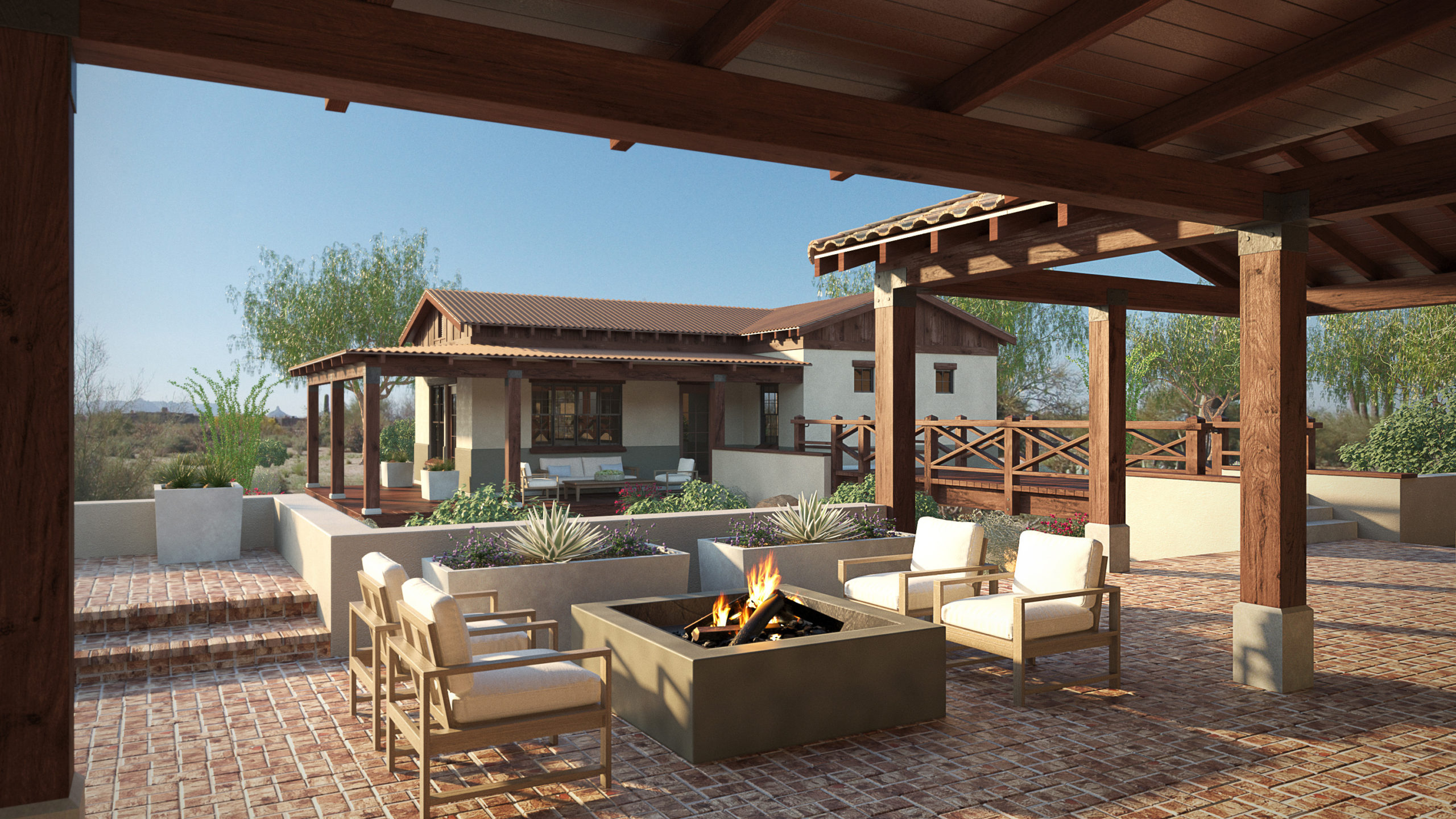 Desert Willow