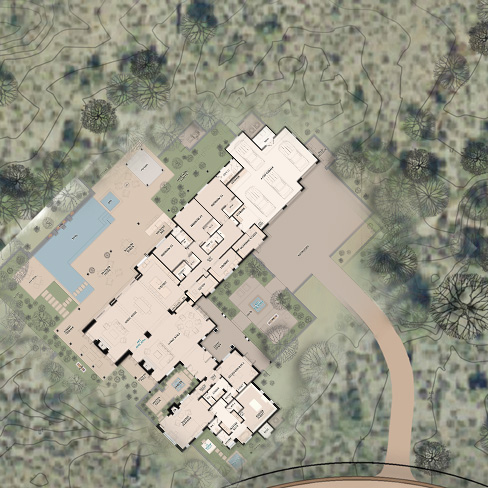 Palo Blanco
